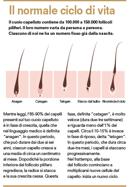 ciclo di vita del capello